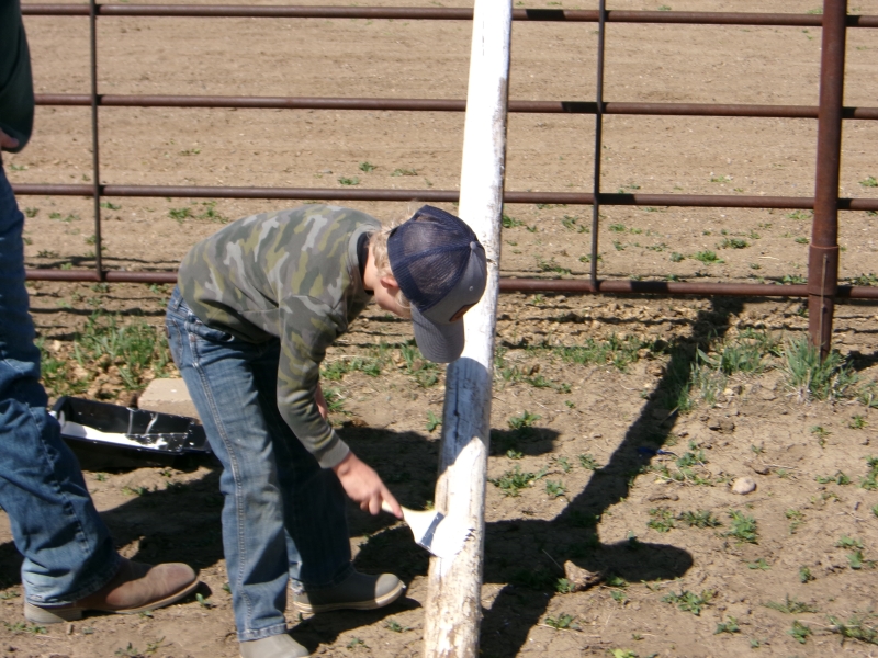 KODAK Digital Still Camera