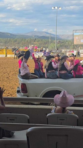 13742d2b-0366-4661-82e7-ccf9e07836be