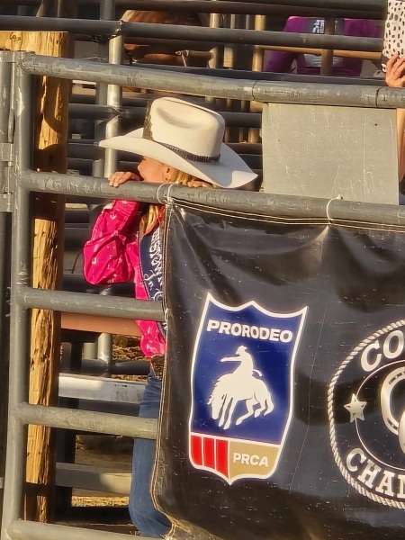 e74bc46c-45ca-4eaf-862d-c926c6fe7887